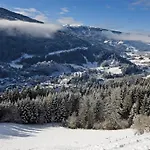 Chalet In Stadl An Der Near Slopes