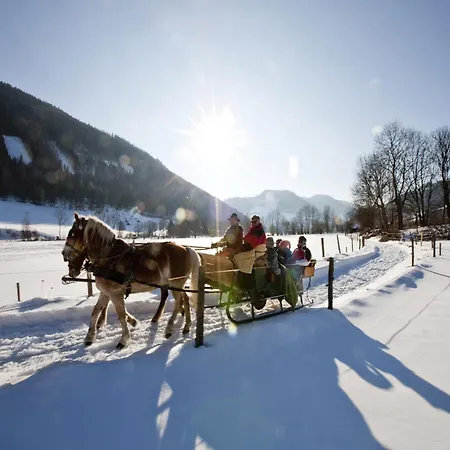 In Stadl An Der Near Slopes Chalet *