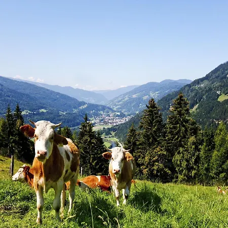 In Stadl An Der Near Slopes *