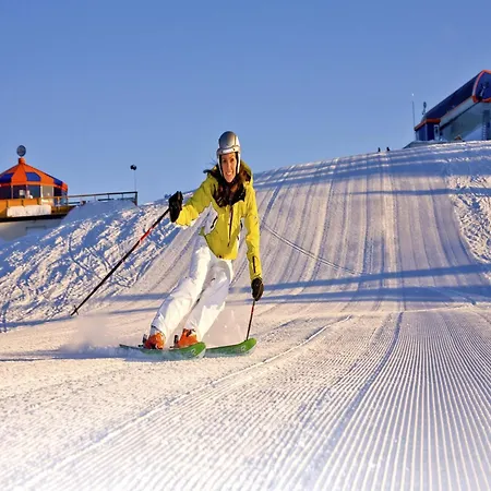 Chalet In Stadl An Der Near Slopes