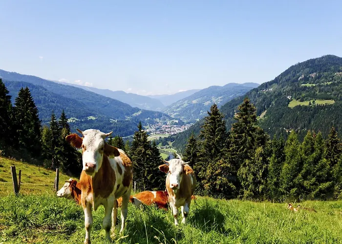 In Stadl An Der Near Slopes *